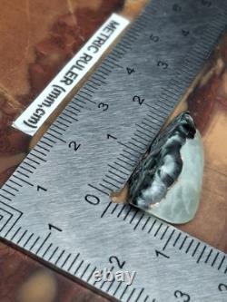 Very Rare Copper Prehnite Isle Royale Greenstone Turtleback Gem Chlorastrolite