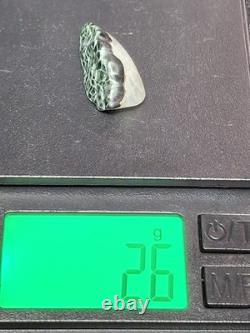 Very Rare Copper Prehnite Isle Royale Greenstone Turtleback Gem Chlorastrolite