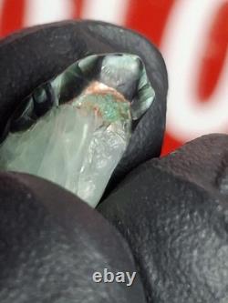 Very Rare Copper Prehnite Isle Royale Greenstone Turtleback Gem Chlorastrolite