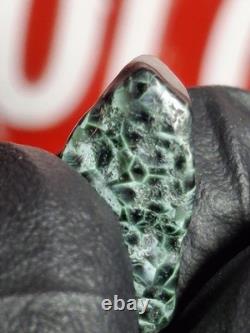 Very Rare Copper Prehnite Isle Royale Greenstone Turtleback Gem Chlorastrolite