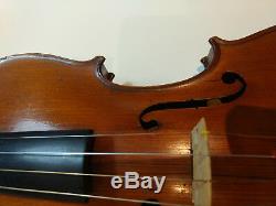 Very Rare Old Antique Anton Hoffman Violin 4/4 Maker to Austrian Imperial Court