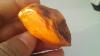Very Rare Old Royal Amber Stoun 26 97gramm From Pr