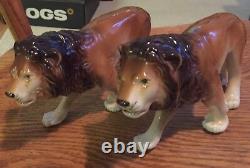 Very Rare Pair Of 10 Inch Royal Dux African Lions Nm Condition Pink Stamp