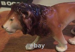 Very Rare Pair Of 10 Inch Royal Dux African Lions Nm Condition Pink Stamp