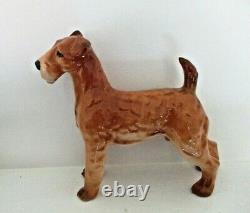 Very Rare Royal Doulton Airedale Terrier Hn 988 Large Size Excellent
