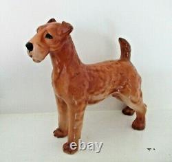 Very Rare Royal Doulton Airedale Terrier Hn 988 Large Size Excellent