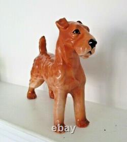 Very Rare Royal Doulton Airedale Terrier Hn 988 Large Size Excellent