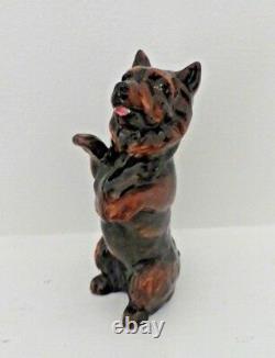 Very Rare Royal Doulton Cairn Terrier Begging Hn 2589 Rare Colourway Perfect