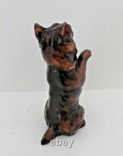 Very Rare Royal Doulton Cairn Terrier Begging Hn 2589 Rare Colourway Perfect