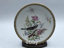 Very Rare Royal Worcester Jewelled Cabinet Plate Hand Painted Birds 1877