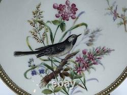 Very Rare Royal Worcester Jewelled Cabinet Plate Hand Painted Birds 1877