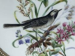 Very Rare Royal Worcester Jewelled Cabinet Plate Hand Painted Birds 1877