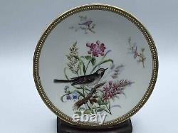 Very Rare Royal Worcester Jewelled Cabinet Plate Hand Painted Birds 1877