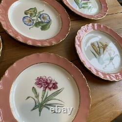 Very Rare VTG A H. Williamson Royal Worcester 11 Plates Flowers 9.25 Stunning