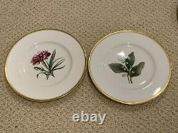 Very Rare Vintage A H. Williamson Royal Worcester Lot 11 Plates Flowers 9.25