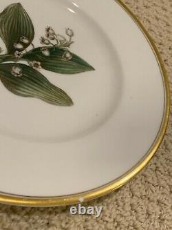 Very Rare Vintage A H. Williamson Royal Worcester Lot 11 Plates Flowers 9.25