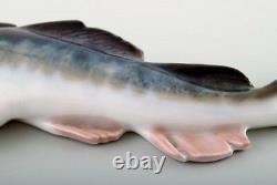 Very rare Royal Copenhagen fish figurine in the form of cod # 457. Early 1900s