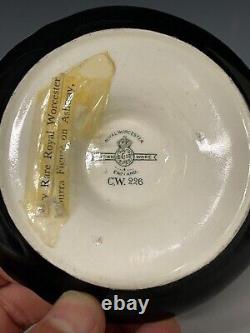 Very rare Royal Worcester Porcelain Kookaburra Pin Dish Australiana c1926