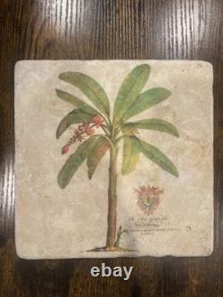 Very rare marble engraving, Duke of Chaulnes, Royal Academy of Sciences of Paris